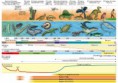 /album/fotogaleria/especies-5-jpg1/